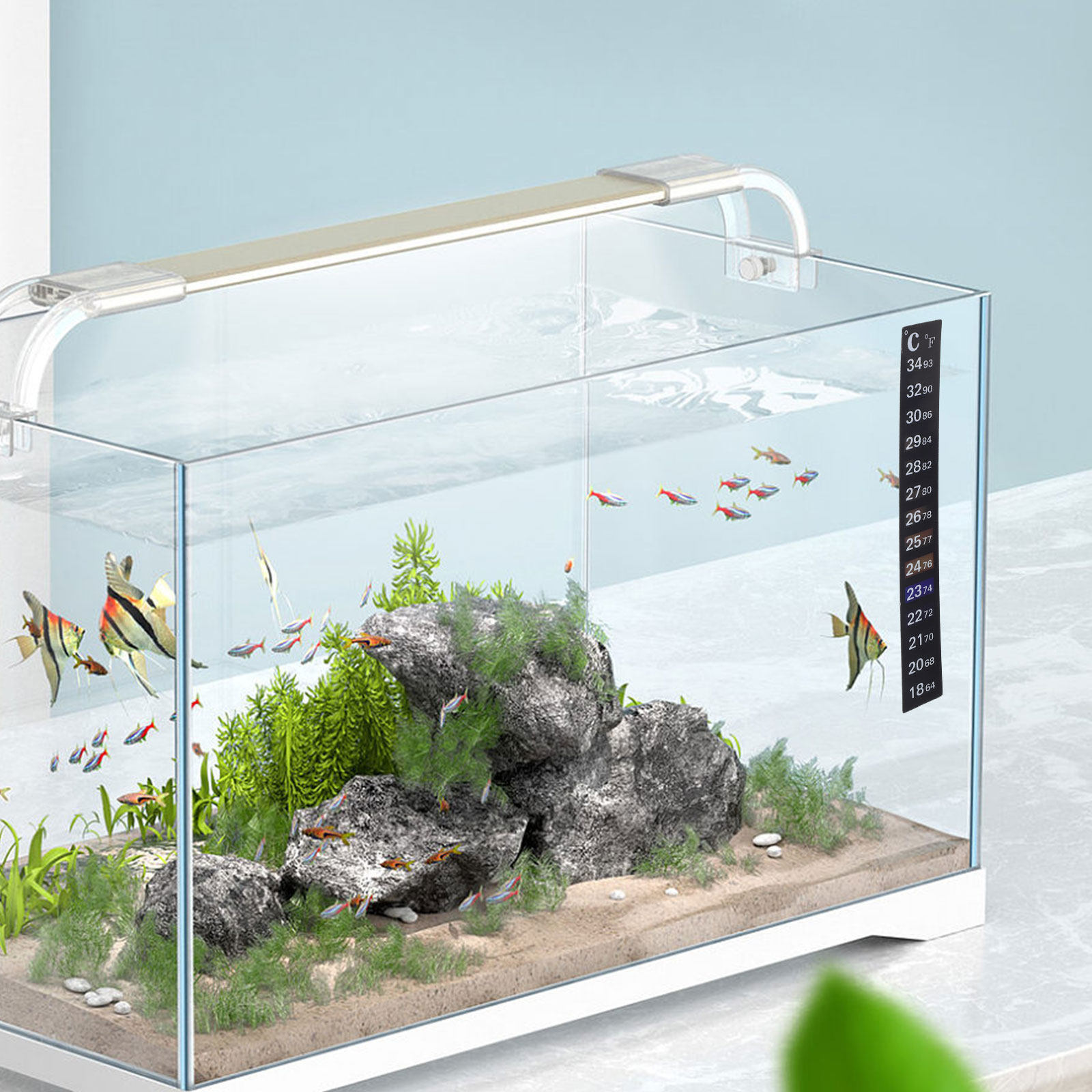 2 stuks aquariumthermometerstr - Temperature Strip Thermometer recensie en prijs