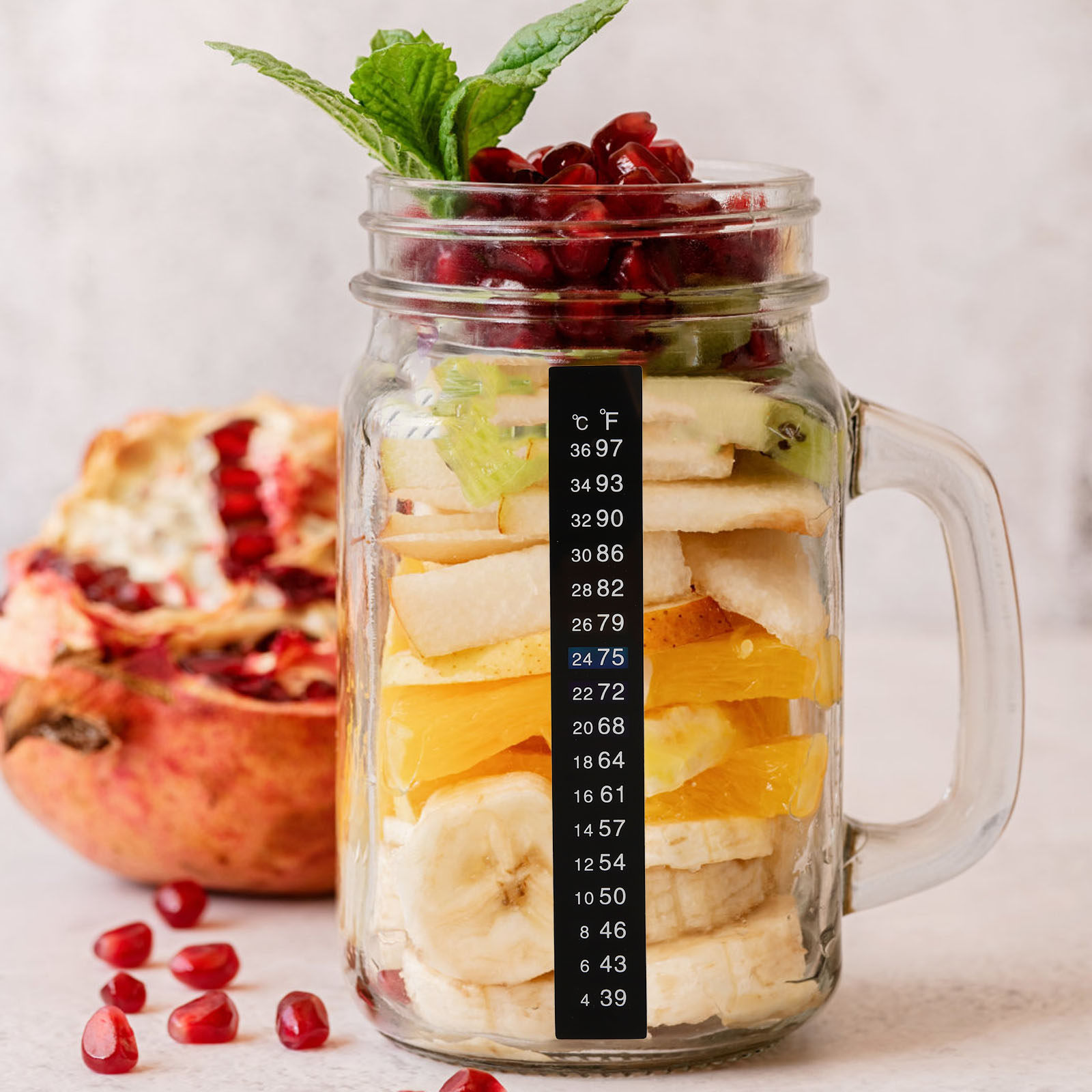 10 stuks fermentatiethermomete - Temperature Strip Thermometer recensie en prijs